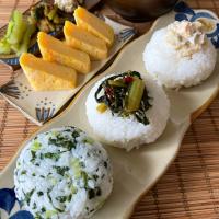 信州おにぎり3種